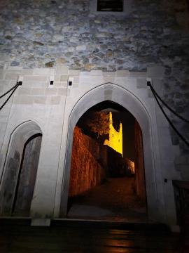 Grad Žovnek v zlati barvi. 